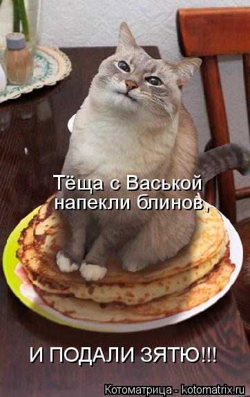 Тёща с Васькой напекли блинов, И ПОДАЛИ ЗЯТЮ!!!... Котоматрица: Тёща с Васькой напекли блинов, И ПОДАЛИ ЗЯТЮ!!!