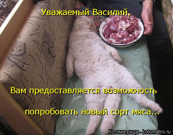 Уважаемый Василий, Вам предоставляется возможность попробовать новый сорт мяса...... Котоматрица: Уважаемый Василий, Вам предоставляется возможность попробовать новый сорт мяса...