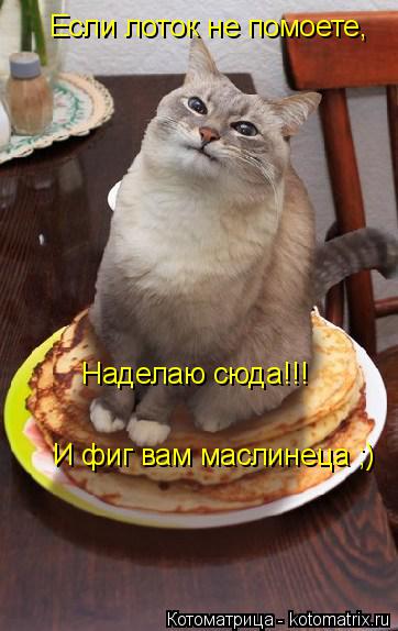 Если лоток не помоете, Если лоток не помоете, Наделаю сюда!!! И фиг вам маслинеца ;)... Котоматрица: Если лоток не помоете, Если лоток не помоете, Наделаю сюда!!! И фиг вам маслинеца ;)