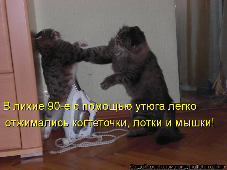 В лихие 90-е с помощью утюга легко отжимались когтеточки, лотки и мышки!... Котоматрица: В лихие 90-е с помощью утюга легко отжимались когтеточки, лотки и мышки!