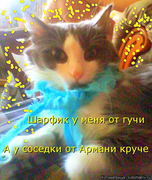 Шарфик у меня от гучи Шарфик у меня от гучи А у соседки от Армани круче... Котоматрица: Шарфик у меня от гучи Шарфик у меня от гучи А у соседки от Армани круче