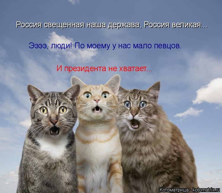Россия свещенная наша держава, Россия великая... Ээээ, люди! По моему у нас мало певцов. И президента... Котоматрица: Россия свещенная наша держава, Россия великая... Ээээ, люди! По моему у нас мало певцов. И президента не хватает...