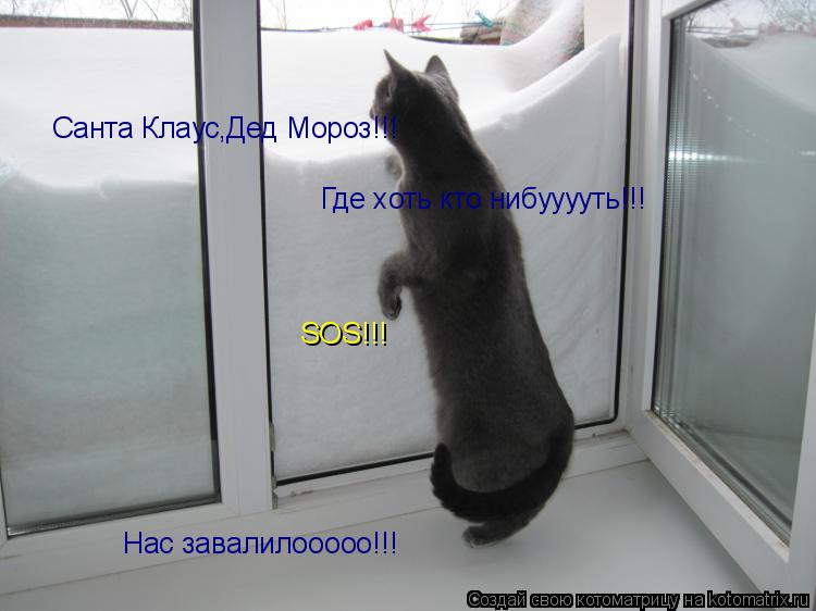 Санта Клаус,Дед Мороз!!! Где хоть кто нибууууть!!! Нас завалилооооо!!! SOS!!!... Котоматрица: Санта Клаус,Дед Мороз!!! Где хоть кто нибууууть!!! Нас завалилооооо!!! SOS!!!