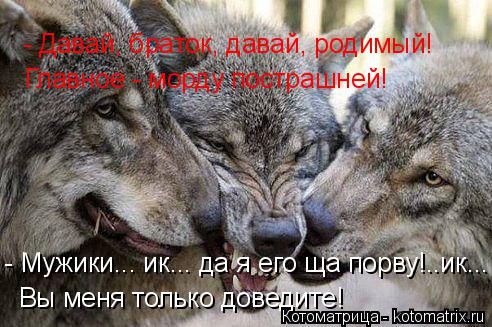 - Давай, браток, давай, родимый! Главное - морду пострашней! - Мужики... ик... да я его ща порву!..ик... Котоматрица: - Давай, браток, давай, родимый! Главное - морду пострашней! - Мужики... ик... да я его ща порву!..ик... Вы меня только доведите!