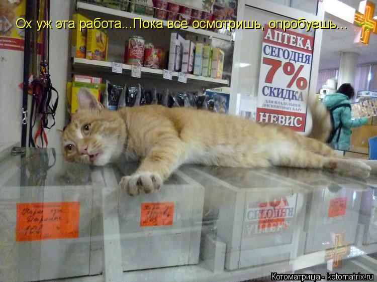 Ох уж эта работа... Ох уж эта работа...Пока все осмотришь, опробуешь...... Котоматрица: Ох уж эта работа... Ох уж эта работа...Пока все осмотришь, опробуешь...