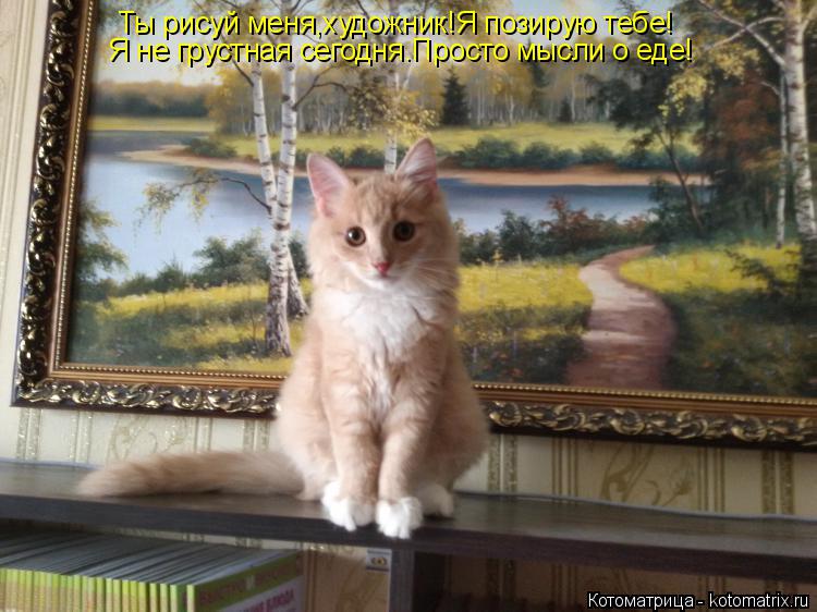 Ты рисуй меня,художник!Я позирую тебе! Я не грустная сегодня.Просто мысли о еде!... Котоматрица: Ты рисуй меня,художник!Я позирую тебе! Я не грустная сегодня.Просто мысли о еде!