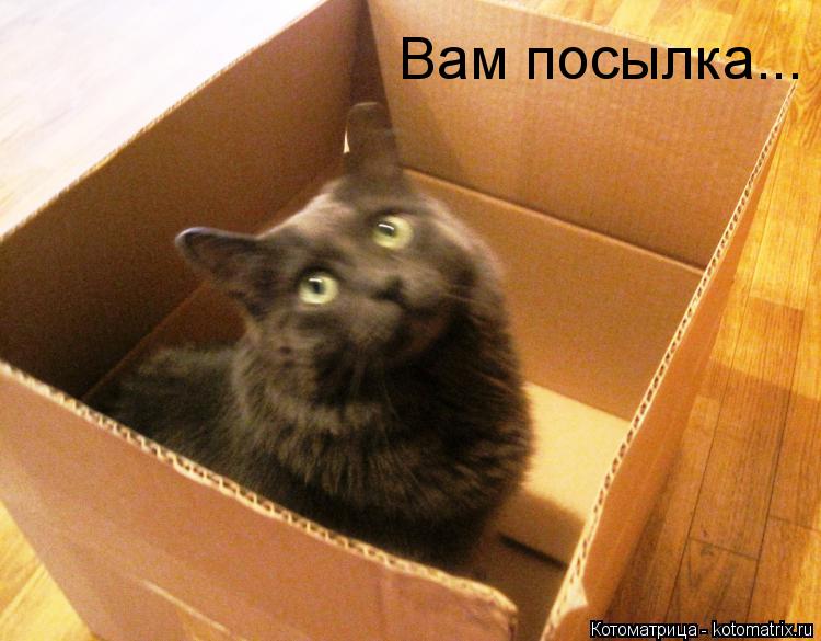 Вам посылка...... Котоматрица: Вам посылка...