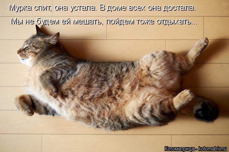 Мурка спит, она устала. В доме всех она достала. Мы не будем ей мешать, пойдем тоже отдыхать...... Котоматрица: Мурка спит, она устала. В доме всех она достала. Мы не будем ей мешать, пойдем тоже отдыхать...