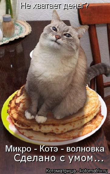 Сделано с умом... Не хватает денег? Микро - Котэ - волновка... Котоматрица: Сделано с умом... Не хватает денег? Микро - Котэ - волновка