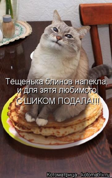 Тёщенька блинов напекла, и для зятя любимого С ШИКОМ ПОДАЛА!!!... Котоматрица: Тёщенька блинов напекла, и для зятя любимого С ШИКОМ ПОДАЛА!!!