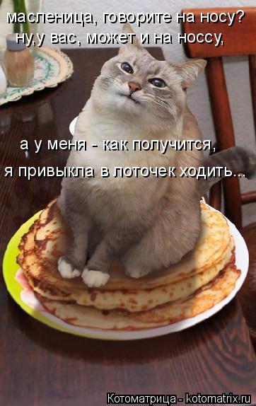 масленица, говорите на носу? ну,у вас, может и на носсу, а у меня - как получится, я привыкла в лоточ... Котоматрица: масленица, говорите на носу? ну,у вас, может и на носсу, а у меня - как получится, я привыкла в лоточек ходить...