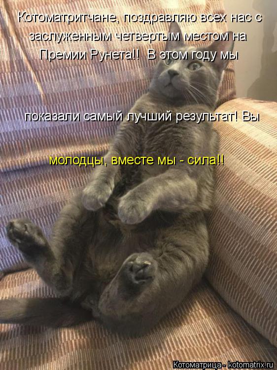 Котоматритчане, поздравляю всех нас с заслуженным четвертым местом на Премии Рунета!! В этом году м... Котоматрица: Котоматритчане, поздравляю всех нас с заслуженным четвертым местом на Премии Рунета!! В этом году мы показали самый лучший результат! Вы