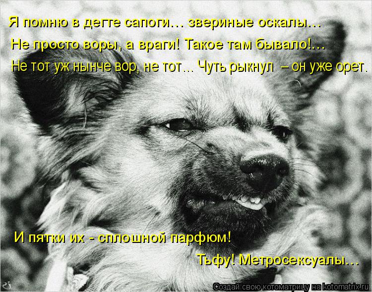 Я помню в дегте сапоги… звериные оскалы… Не просто воры, а враги! Такое там бывало!… Не тот уж нынче ... Котоматрица: Я помню в дегте сапоги… звериные оскалы… Не просто воры, а враги! Такое там бывало!… Не тот уж нынче вор, не тот… Чуть рыкнул – он уже орет.