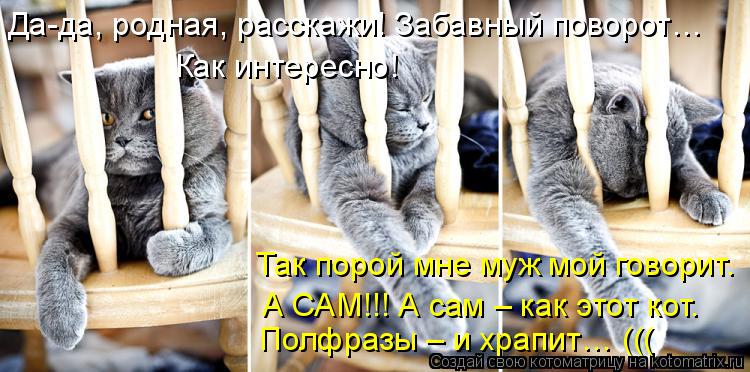 Да-да, родная, расскажи! Забавный поворот… Как интересно! Так порой мне муж мой говорит. Полфразы – ... Котоматрица: Да-да, родная, расскажи! Забавный поворот… Как интересно! Так порой мне муж мой говорит. Полфразы – и храпит… ((( А САМ!!! А сам – как этот кот.