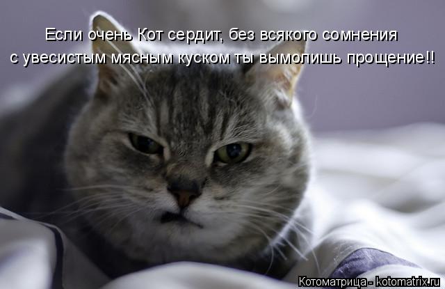 Если очень Кот сердит, без всякого сомнения с увесистым мясным куском ты вымолишь прощение!!... Котоматрица: Если очень Кот сердит, без всякого сомнения с увесистым мясным куском ты вымолишь прощение!!