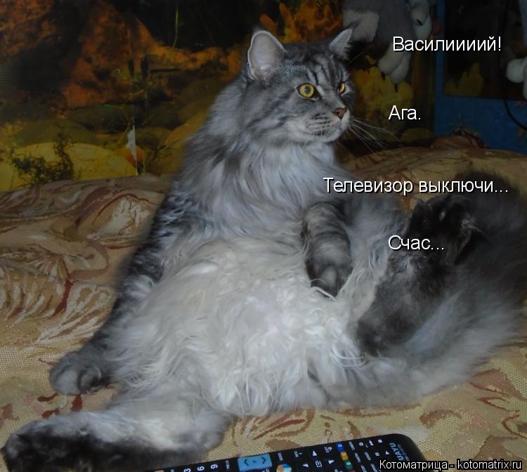 Василиииий! Ага. Телевизор выключи... Счас...... Котоматрица: Василиииий! Ага. Телевизор выключи... Счас...
