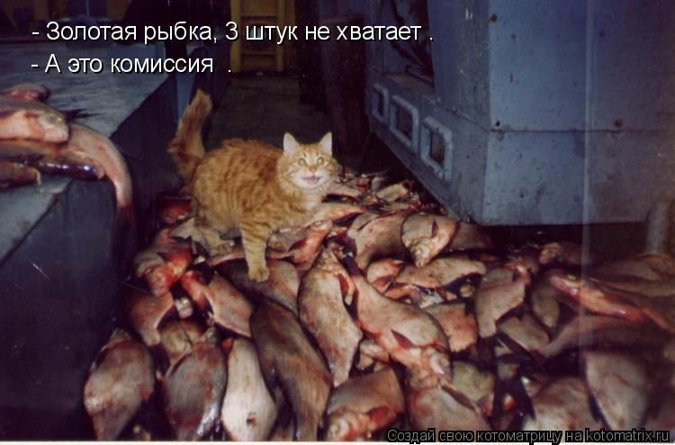 - А это комиссия . - Золотая рыбка, 3 штук не хватает .... Котоматрица: - А это комиссия . - Золотая рыбка, 3 штук не хватает .