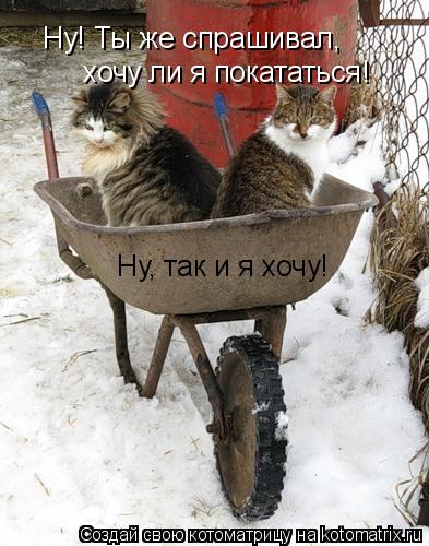 Ну! Ты же спрашивал, хочу ли я покататься! Ну, так и я хочу!... Котоматрица: Ну! Ты же спрашивал, хочу ли я покататься! Ну, так и я хочу!
