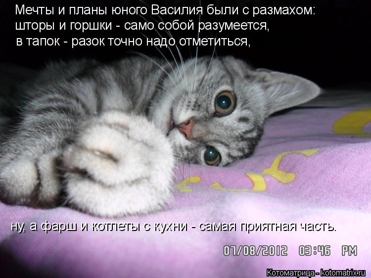 Мечты и планы юного Василия были с размахом: шторы и горшки - само собой разумеется, в тапок - разок ... Котоматрица: Мечты и планы юного Василия были с размахом: шторы и горшки - само собой разумеется, в тапок - разок точно надо отметиться, ну, а фарш и котлет