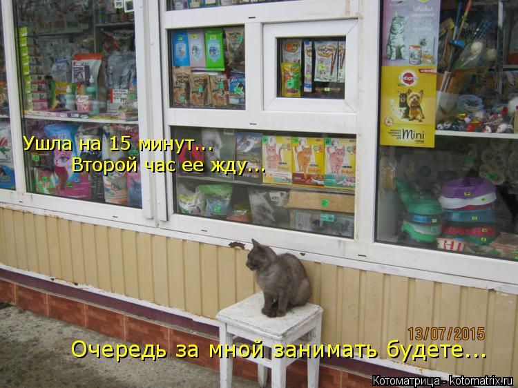 Ушла на 15 минут... Второй час ее жду... Очередь за мной занимать будете...... Котоматрица: Ушла на 15 минут... Второй час ее жду... Очередь за мной занимать будете...