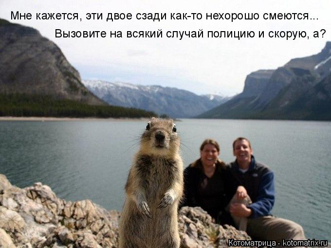 Мне кажется, эти двое сзади как-то нехорошо смеются... Вызовите на всякий случай полицию и скорую, а?... Котоматрица: Мне кажется, эти двое сзади как-то нехорошо смеются... Вызовите на всякий случай полицию и скорую, а?