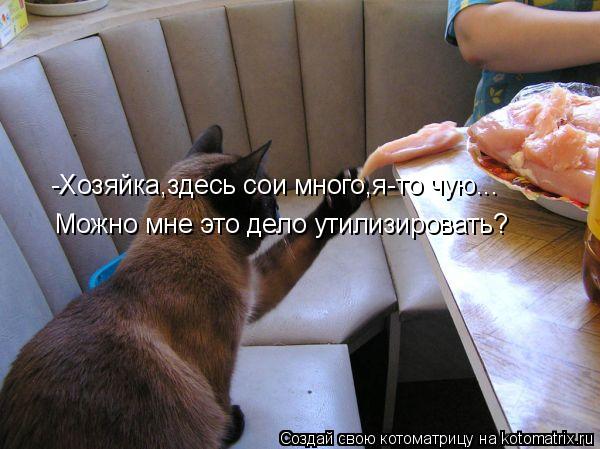 -Хозяйка,здесь сои много,я-то чую... Можно мне это дело утилизировать?... Котоматрица: -Хозяйка,здесь сои много,я-то чую... Можно мне это дело утилизировать?