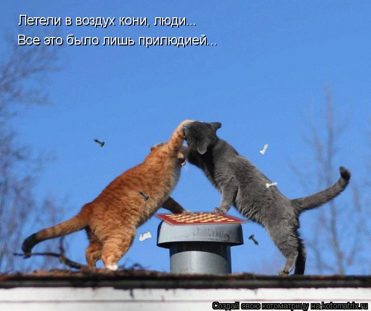 Летели в воздух кони, люди... Все это было лишь прилюдией...... Котоматрица: Летели в воздух кони, люди... Все это было лишь прилюдией...