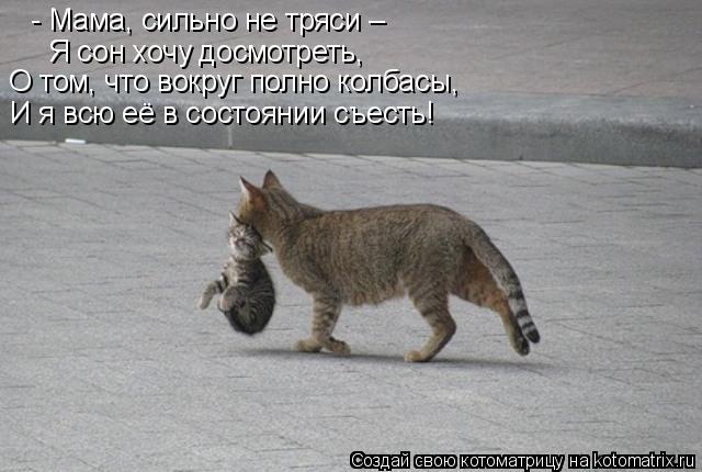 Я сон хочу досмотреть, - Мама, сильно не тряси – О том, что вокруг полно колбасы, И я всю её в сост... Котоматрица: Я сон хочу досмотреть, - Мама, сильно не тряси – О том, что вокруг полно колбасы, И я всю её в состоянии съесть!