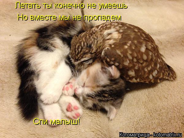 Летать ты конечно не умеешь Но вместе мы не пропадем Спи малыш!... Котоматрица: Летать ты конечно не умеешь Но вместе мы не пропадем Спи малыш!