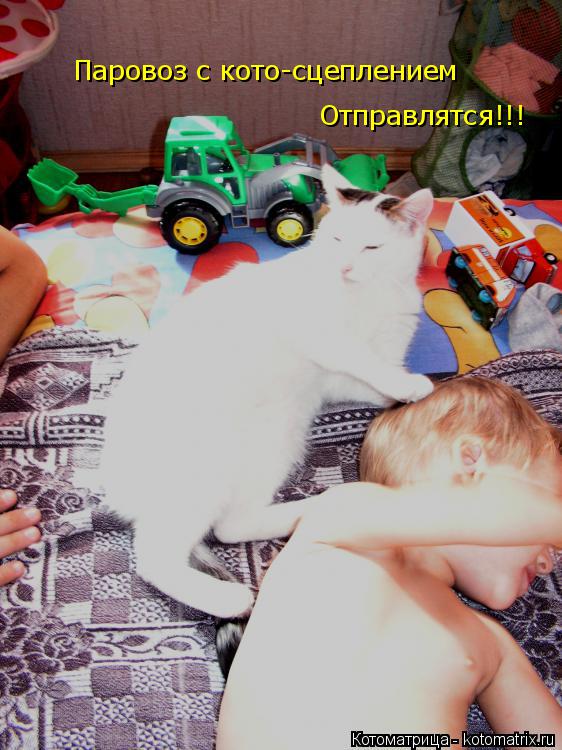 Паровоз с кото-сцеплением Отправлятся!!!... Котоматрица: Паровоз с кото-сцеплением Отправлятся!!!