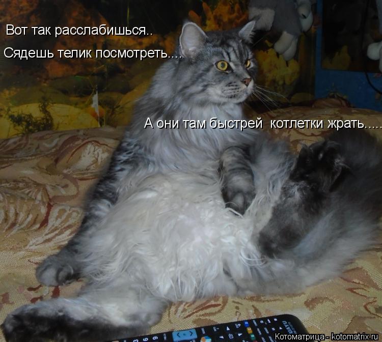Вот так расслабишься.. Сядешь телик посмотреть.... А они там быстрей котлетки жрать........ Котоматрица: Вот так расслабишься.. Сядешь телик посмотреть.... А они там быстрей котлетки жрать.....