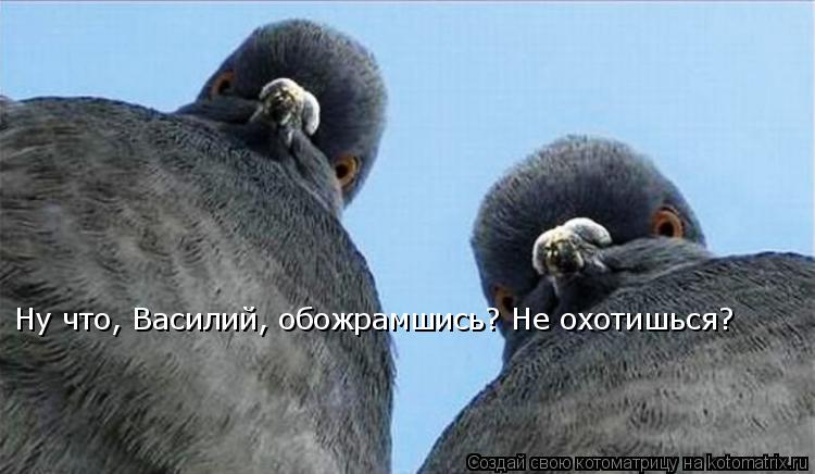 Ну что, Василий, обожрамшись? Не охотишься?... Котоматрица: Ну что, Василий, обожрамшись? Не охотишься?