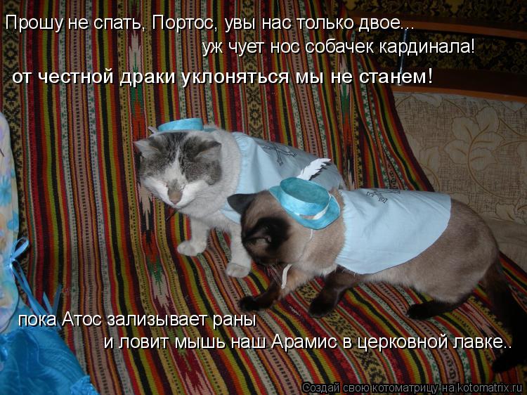 Прошу не спать, Портос, увы нас только двое... уж чует нос собачек кардинала! пока Атос зализывает ра... Котоматрица: Прошу не спать, Портос, увы нас только двое... уж чует нос собачек кардинала! пока Атос зализывает раны и ловит мышь наш Арамис в церковной л
