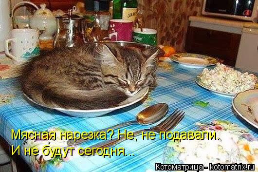 Мясная нарезка? Не, не подавали. И не будут сегодня...... Котоматрица: Мясная нарезка? Не, не подавали. И не будут сегодня...