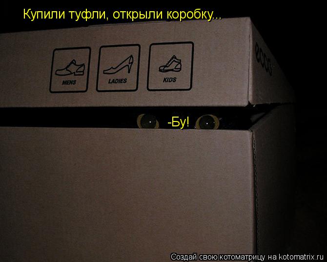 Купили туфли, открыли коробку... -Бу!... Котоматрица: Купили туфли, открыли коробку... -Бу!