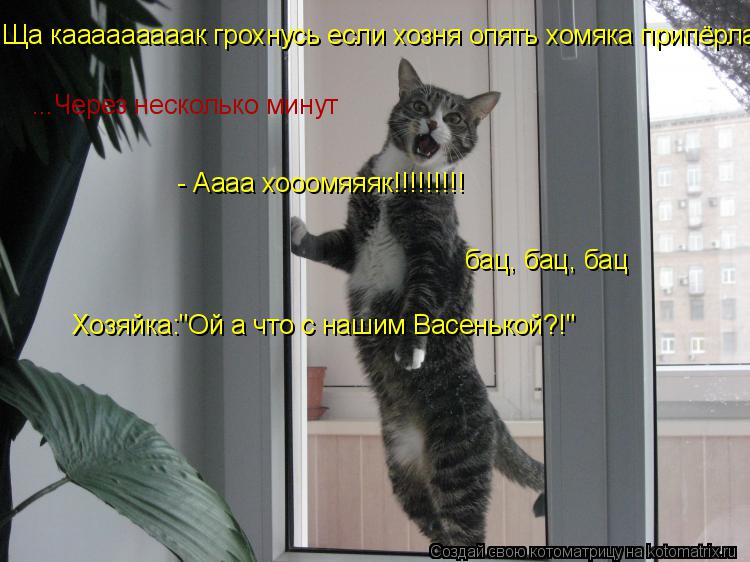 Ща кааааааааак грохнусь если хозня опять хомяка припёрла... ...Через несколько минут - Аааа хооомяяяк... Котоматрица: Ща кааааааааак грохнусь если хозня опять хомяка припёрла... ...Через несколько минут - Аааа хооомяяяк!!!!!!!!! бац, бац, бац Хозяйка:"Ой а что с наш
