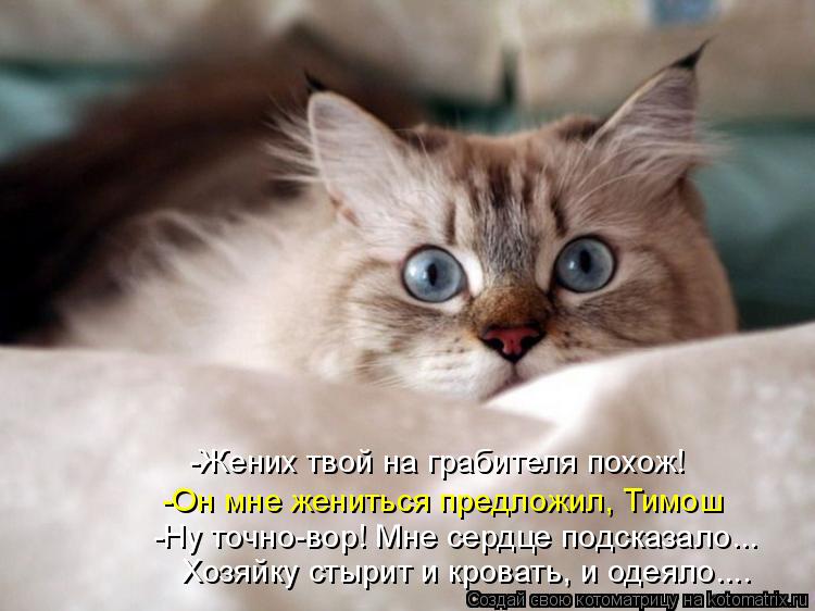 -Жених твой на грабителя похож! -Он мне жениться предложил, Тимош -Ну точно-вор! Мне сердце подсказал... Котоматрица: -Жених твой на грабителя похож! -Он мне жениться предложил, Тимош -Ну точно-вор! Мне сердце подсказало... Хозяйку стырит и кровать, и одеяло....