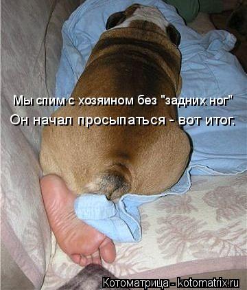 Мы спим с хозяином без "задних ног" Он начал просыпаться - вот итог.... Котоматрица: Мы спим с хозяином без "задних ног" Он начал просыпаться - вот итог.
