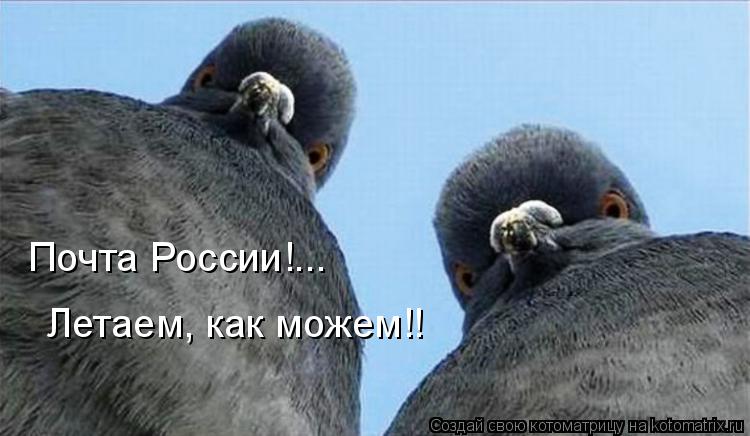 Почта России!... Летаем, как можем!!... Котоматрица: Почта России!... Летаем, как можем!!