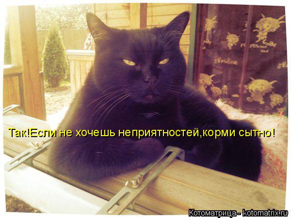 Так!Если не хочешь неприятностей,корми сытно!... Котоматрица: Так!Если не хочешь неприятностей,корми сытно!