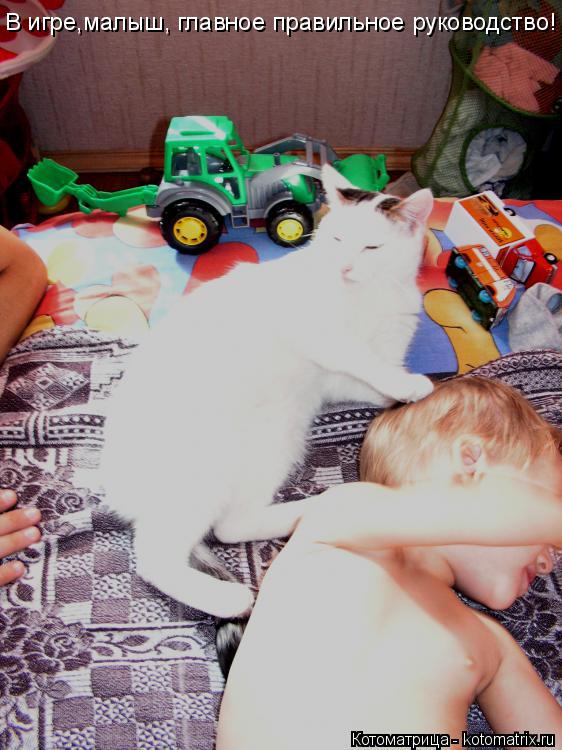 В игре,малыш, главное правильное руководство!... Котоматрица: В игре,малыш, главное правильное руководство!