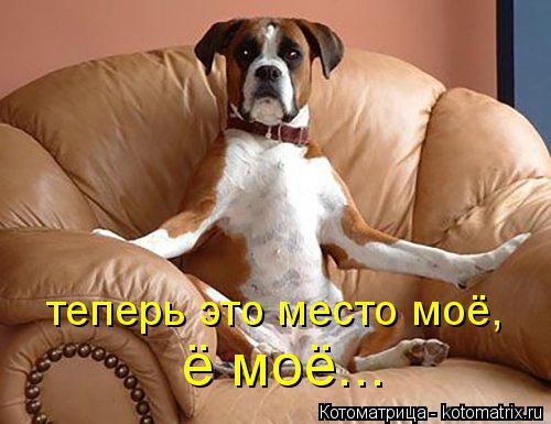 теперь это место моё, ё моё...... Котоматрица: теперь это место моё, ё моё...