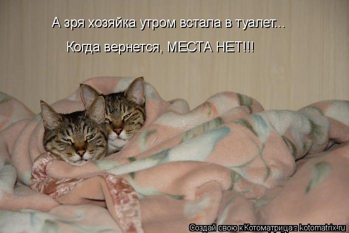 А зря хозяйка утром встала в туалет... Когда вернется, МЕСТА НЕТ!!!... Котоматрица: А зря хозяйка утром встала в туалет... Когда вернется, МЕСТА НЕТ!!!