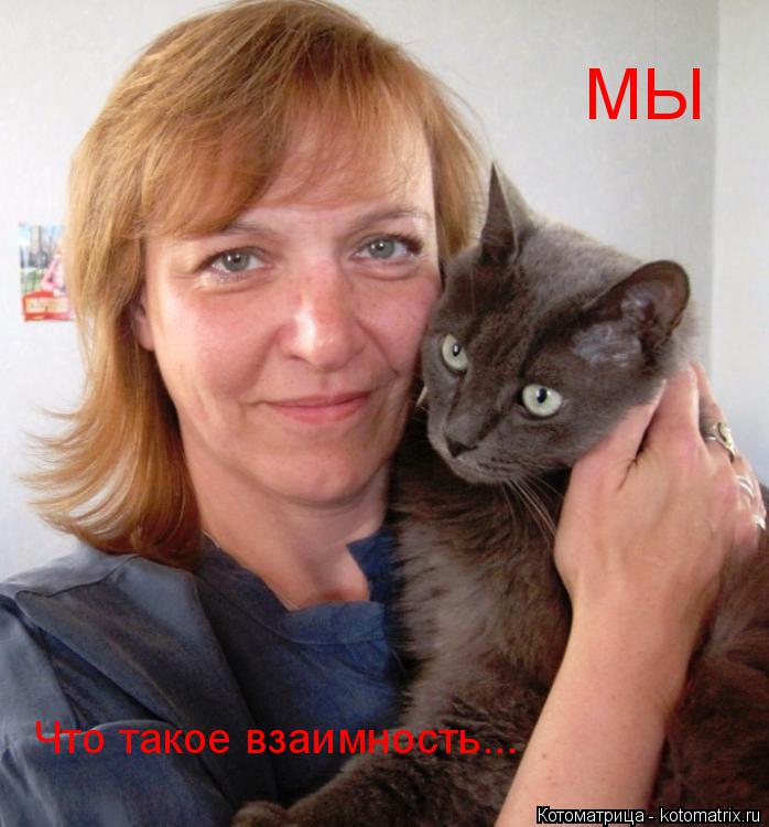 МЫ Что такое взаимность...... Котоматрица: МЫ Что такое взаимность...
