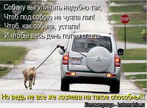 Собаку выгуливать надобно так, Чтоб под собою не чуяла лап! Чтоб, как собака, устала! И чтобы весь де... Котоматрица: Собаку выгуливать надобно так, Чтоб под собою не чуяла лап! Чтоб, как собака, устала! И чтобы весь день потом спала. Но ведь не все же хозяева