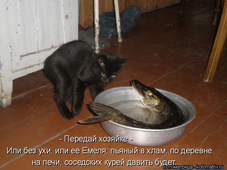 - Передай хозяйке - на печи, соседских курей давить будет... Или без ухи, или её Емеля, пьяный в хла... Котоматрица: - Передай хозяйке - на печи, соседских курей давить будет... Или без ухи, или её Емеля, пьяный в хлам, по деревне