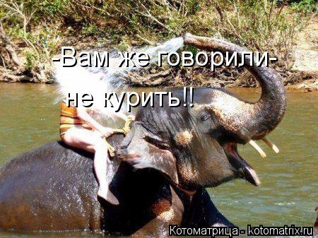 -Вам же говорили- не курить!!... Котоматрица: -Вам же говорили- не курить!!