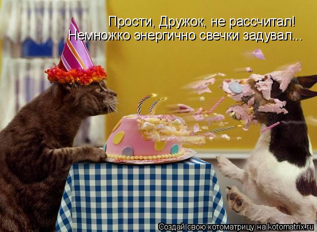 Прости, Дружок, не рассчитал! Немножко энергично свечки задувал...... Котоматрица: Прости, Дружок, не рассчитал! Немножко энергично свечки задувал...