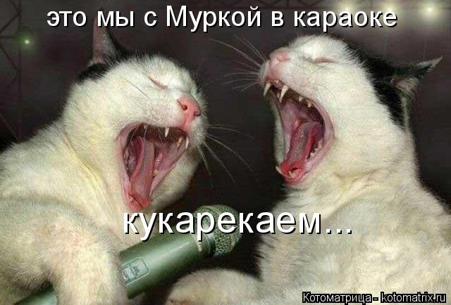 это мы с Муркой в караоке кукарекаем...... Котоматрица: это мы с Муркой в караоке кукарекаем...