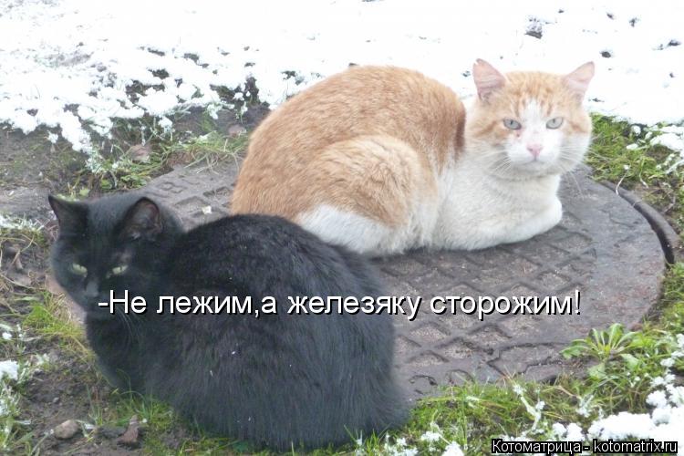 -Не лежим,а железяку сторожим!... Котоматрица: -Не лежим,а железяку сторожим!